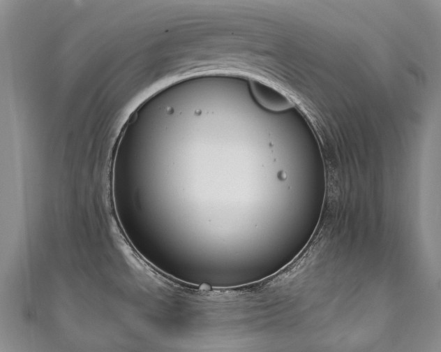 X0000111141534200906301220