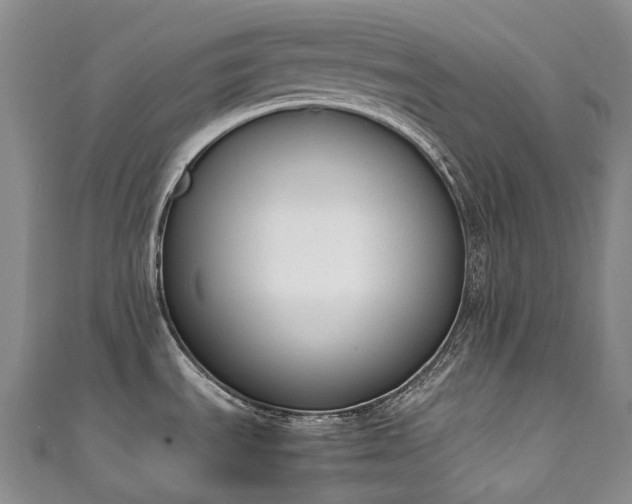 X0000111141535200906301220