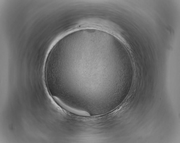 X0000111141536200906301220