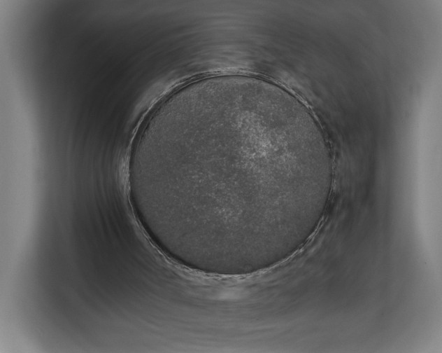 X0000111140002200907071058