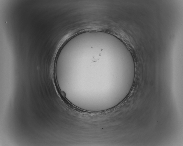 X0000111140003200907071058