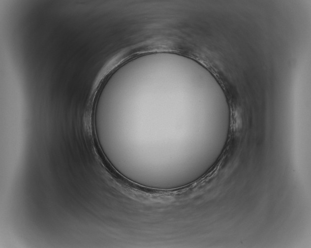 X0000111140004200907071058