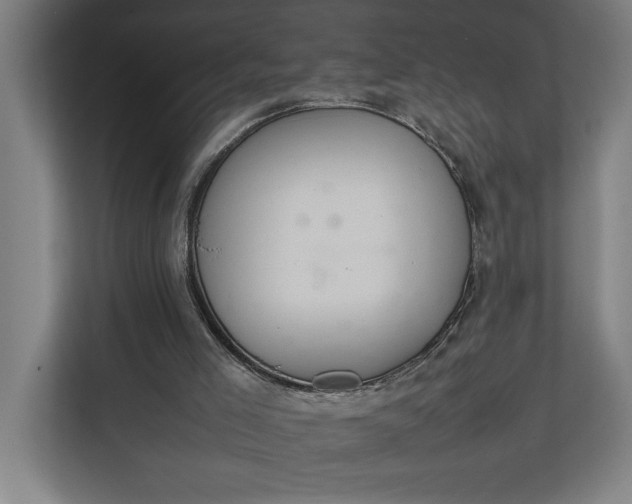 X0000111140005200907071058