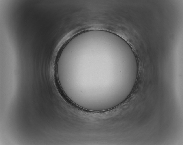 X0000111140007200907071058