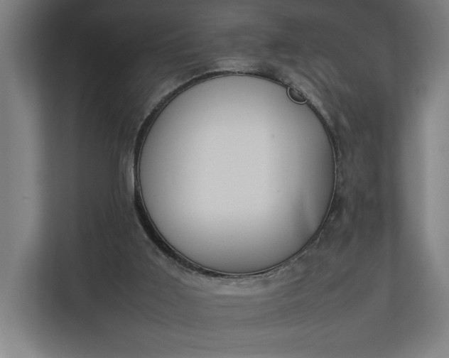 X0000111140011200907071058