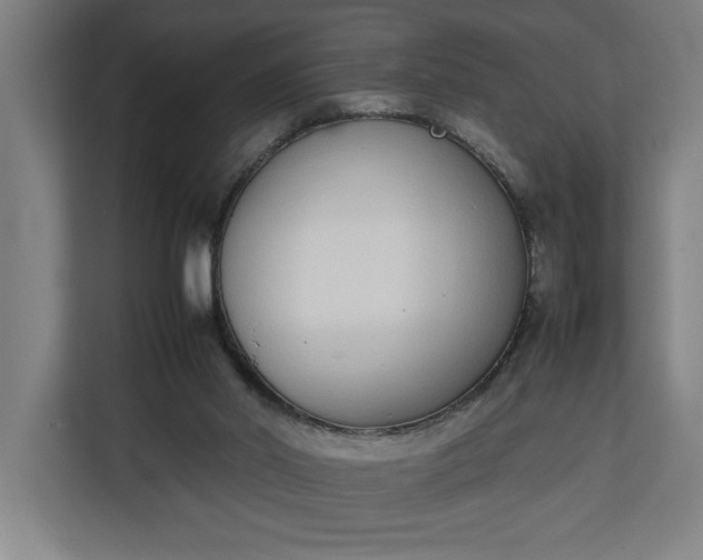 X0000111140014200907071058