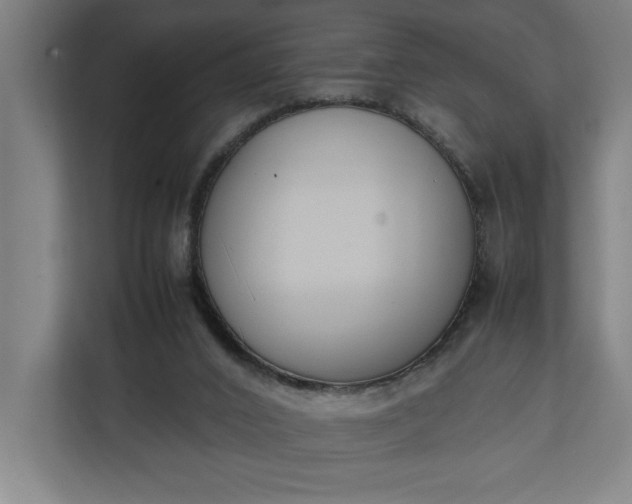 X0000111140016200907071058