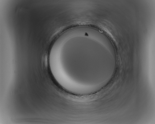 X0000111140019200907071058