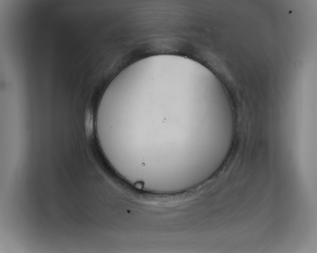 X0000111140021200907071058