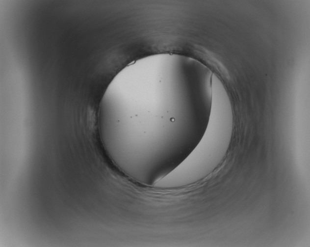 X0000111140025200907071058