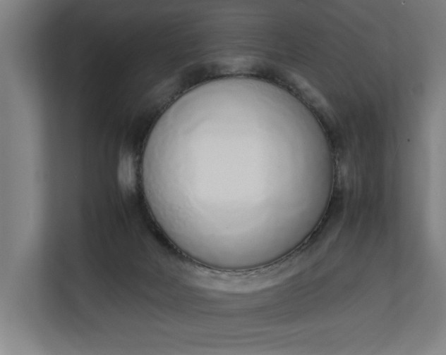 X0000111140026200907071058