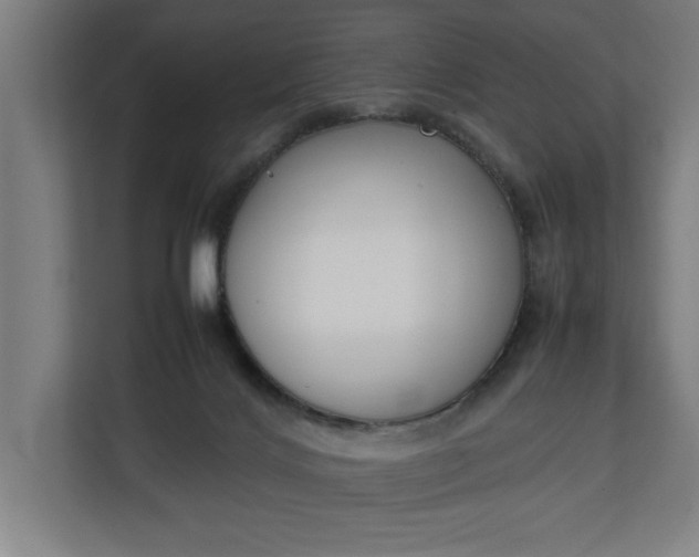 X0000111140028200907071058