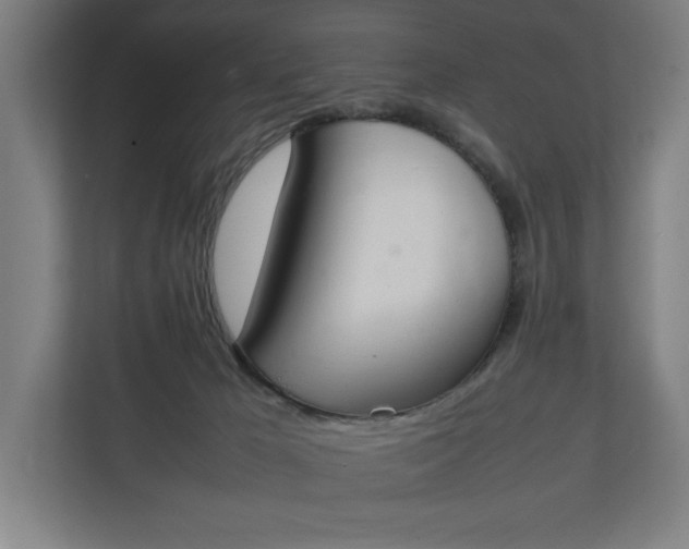 X0000111140029200907071058