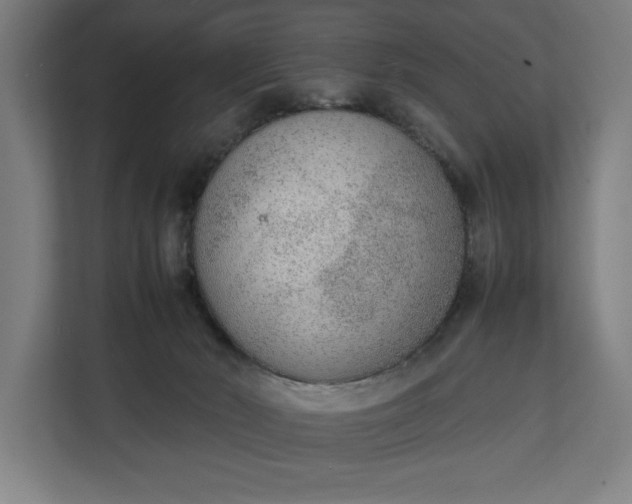 X0000111140030200907071058