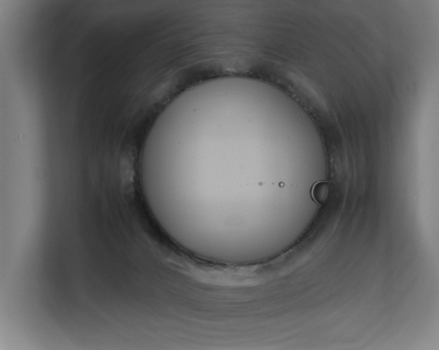 X0000111140032200907071058