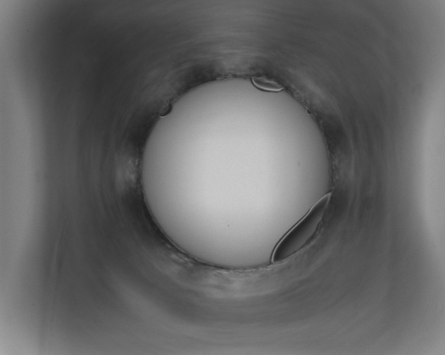 X0000111140033200907071058