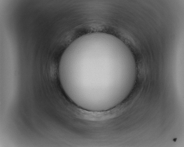 X0000111140034200907071058