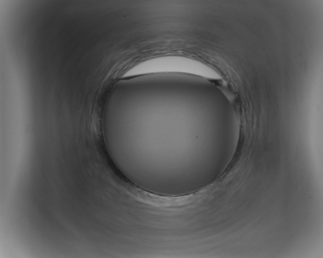 X0000111140035200907071058