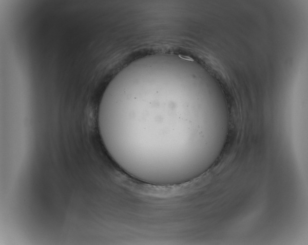 X0000111140037200907071058