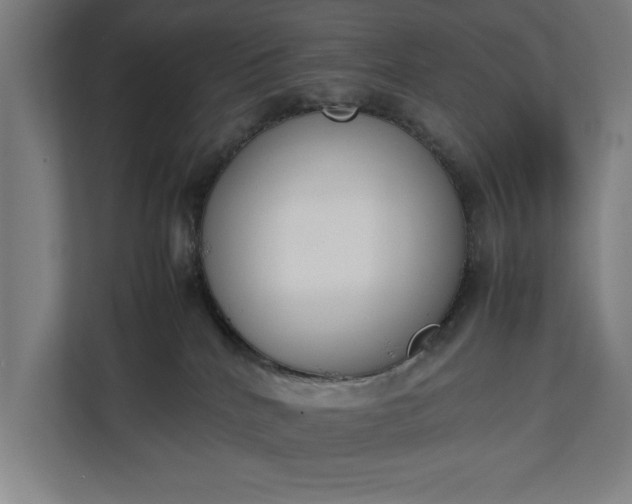 X0000111140040200907071057