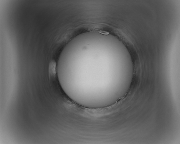 X0000111140041200907071057