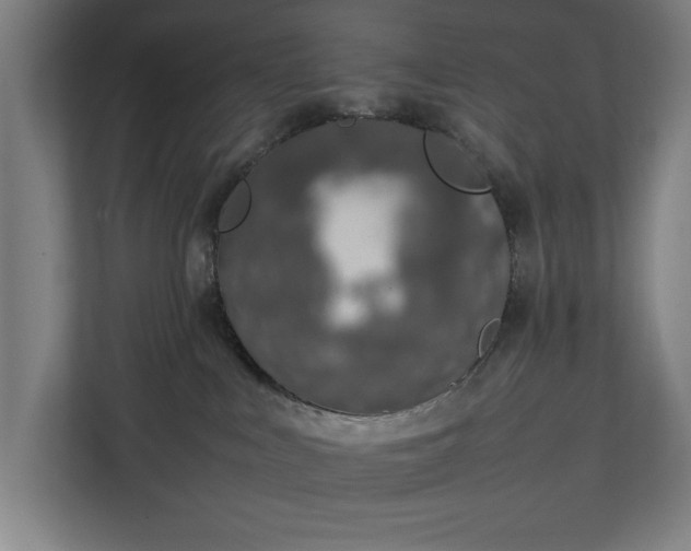 X0000111140043200907071057