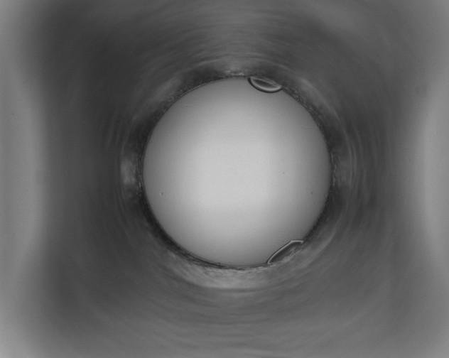 X0000111140044200907071057