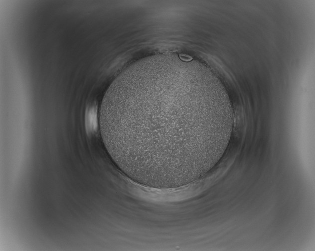 X0000111140046200907071057