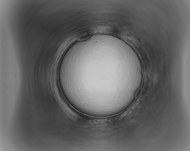 X0000111140049200907071057