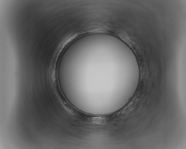 X0000111140050200907071057