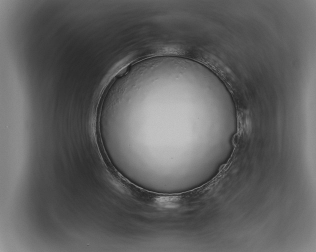 X0000111140051200907071057