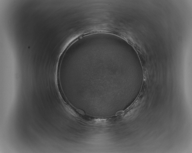 X0000111140052200907071057