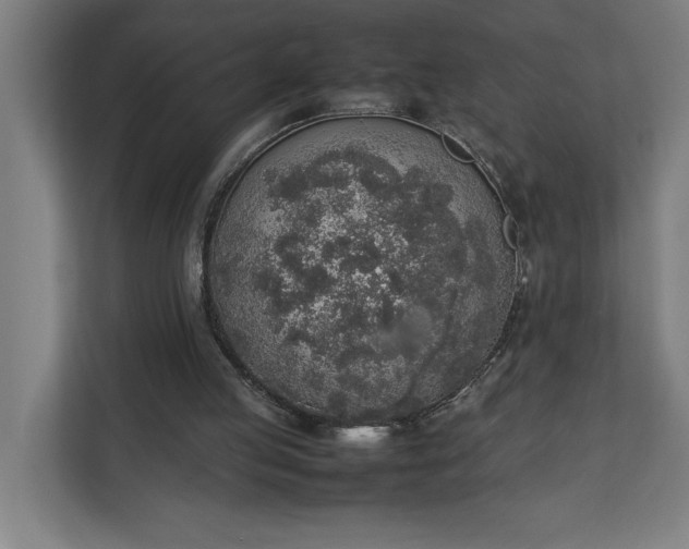 X0000111140053200907071057