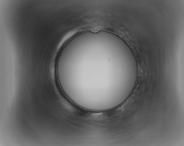 X0000111140054200907071057