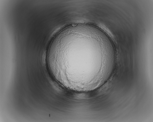 X0000111140058200907071057