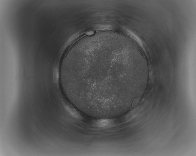 X0000111140059200907071057