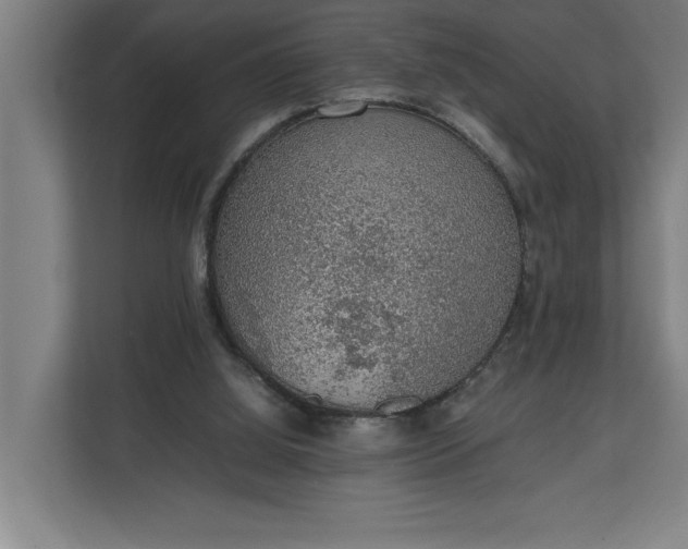 X0000111140060200907071057