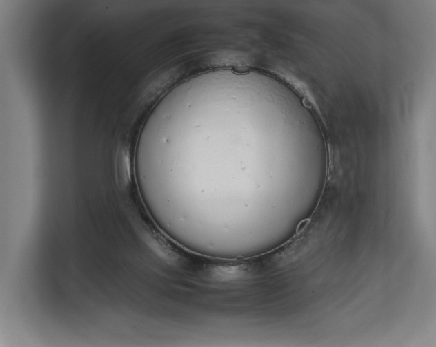 X0000111140061200907071057