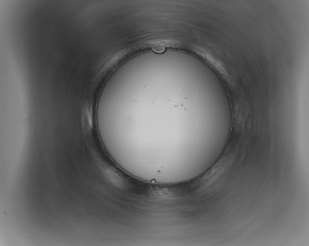 X0000111140062200907071057