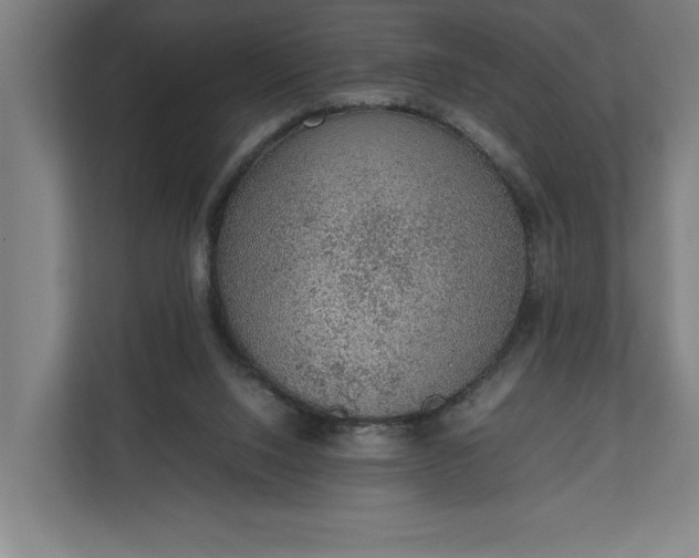 X0000111140064200907071057