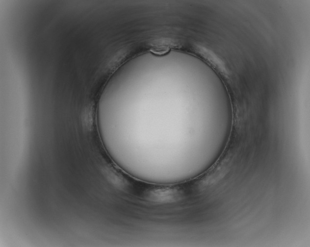 X0000111140065200907071057