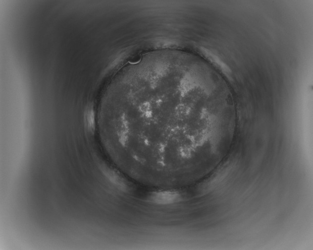 X0000111140067200907071057