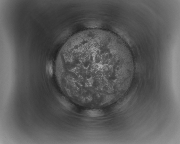 X0000111140069200907071057