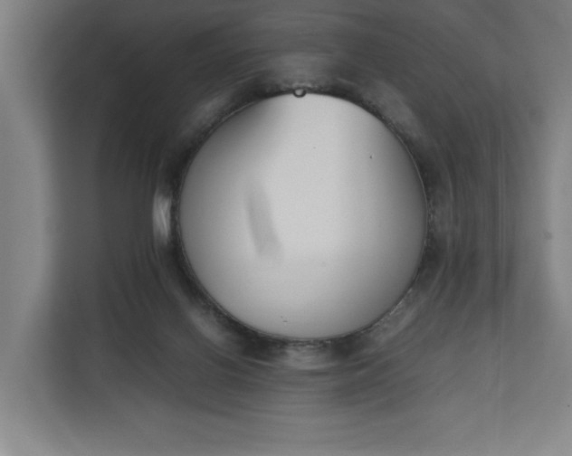 X0000111140070200907071057