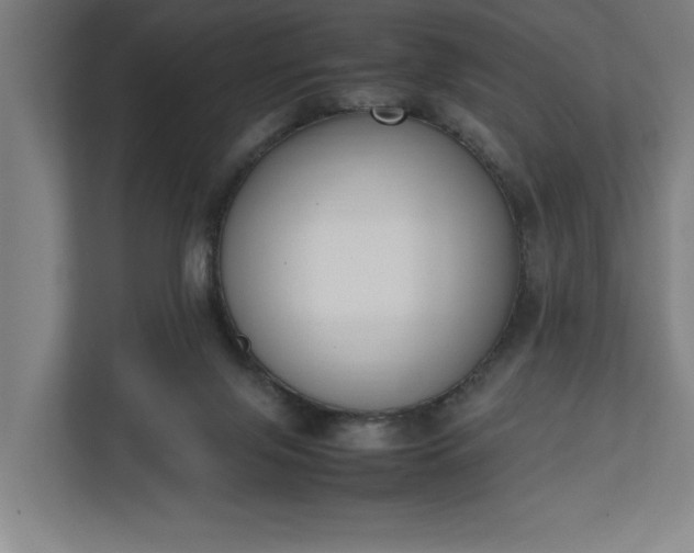 X0000111140071200907071057