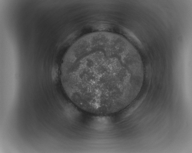 X0000111140073200907071057