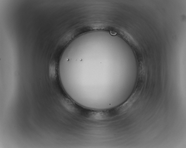 X0000111140074200907071057