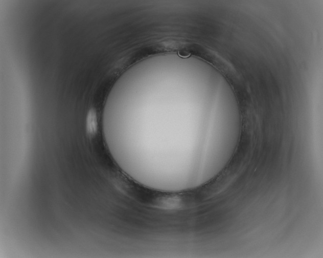 X0000111140075200907071057