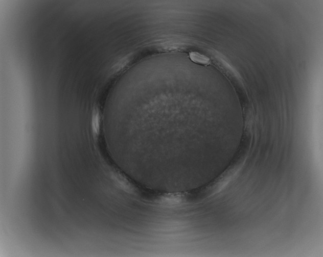 X0000111140076200907071057