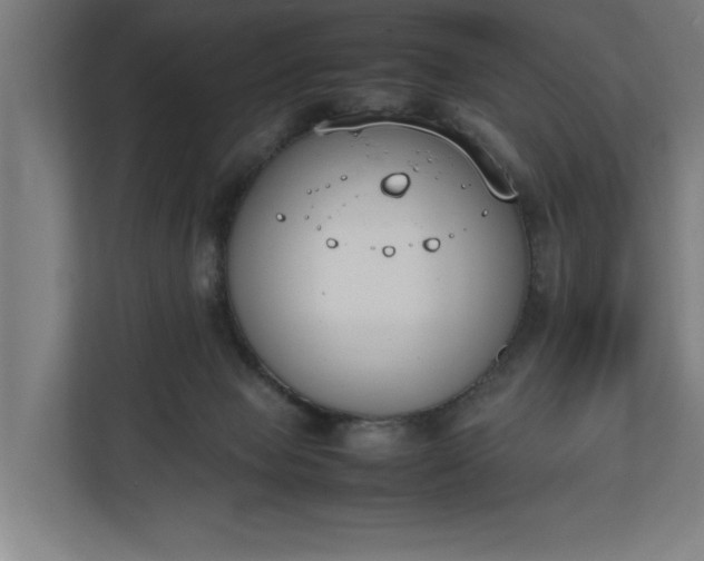 X0000111140077200907071057